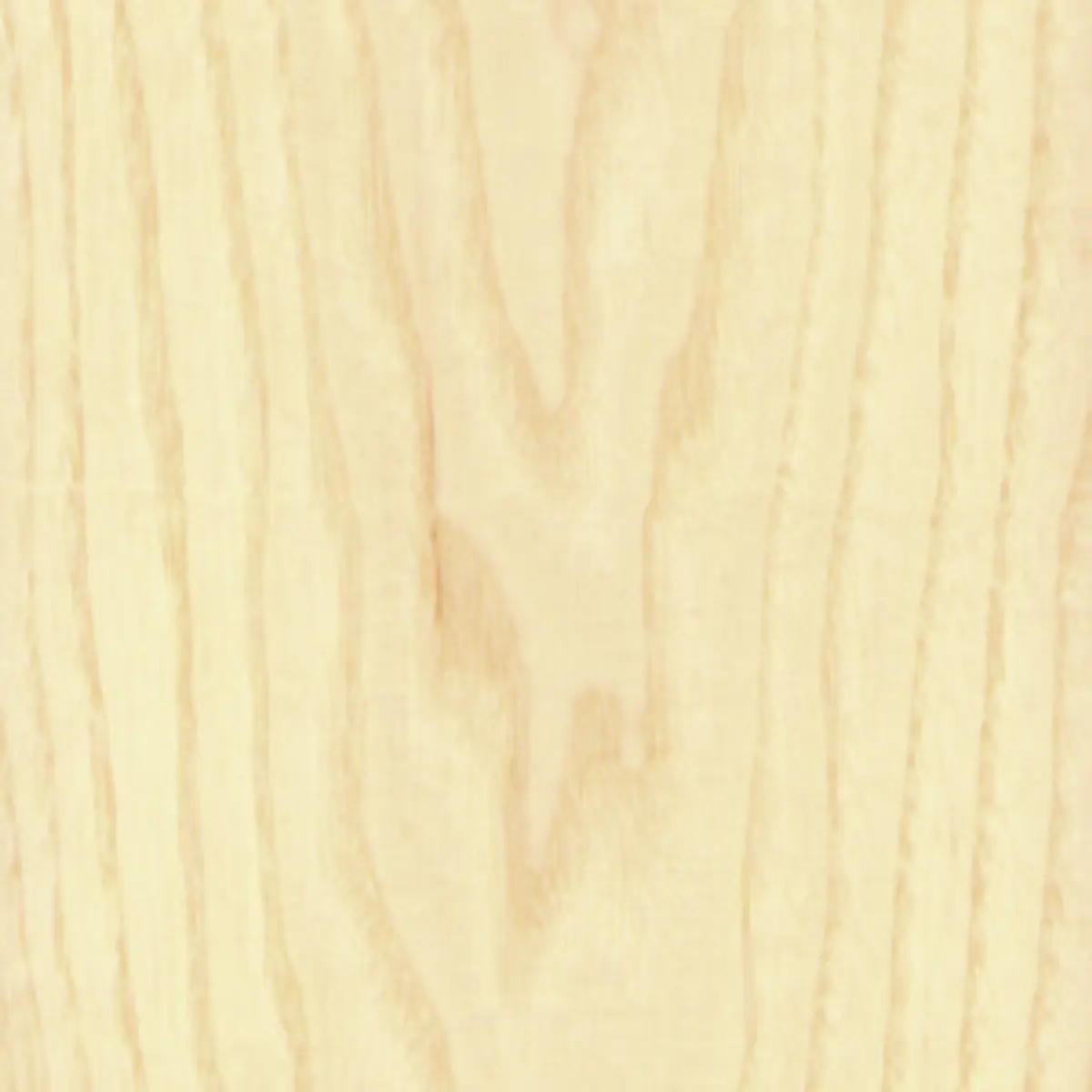 American ash